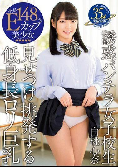 MDTM-149 - Temptation Underwear School Girls Confronted By Provocation To Short Stature Lori Big Tits White Peach Kokorona - K.M.Produce