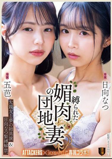 SSPD-176 First Dream Collaboration With Best Friend & Hinata Natsu Bondage Debut. Bound And Seductive Apartment Wife