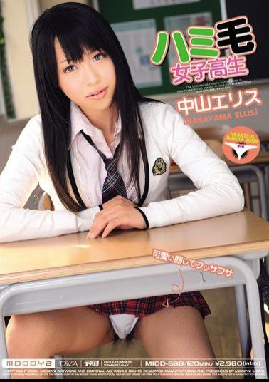 Mosaic MIDD-588 Nakayama Ellis School Girls Hair Hami