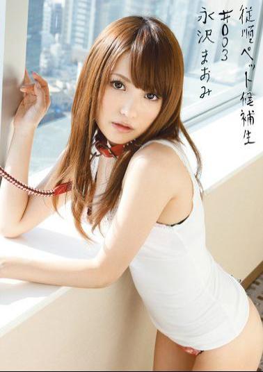 Mosaic INU-012 Mao Himself Nagasawa # 003 Candidates Pet Obedience