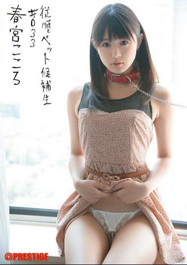 Mosaic INU-052 Togu Mind # 033 Candidates Obedient Pets