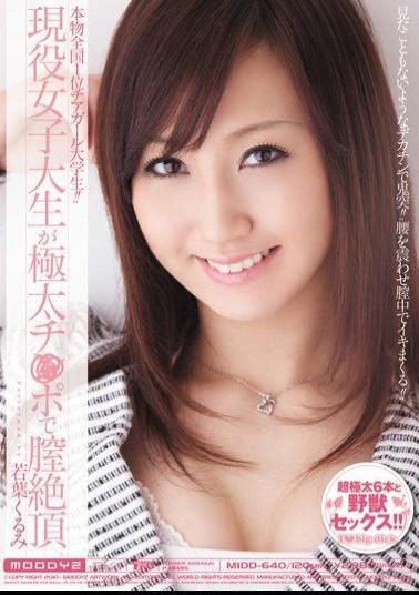 Mosaic MIDD-640 Wakaba Walnut Climax Vagina With Blood Thick Port Is Active College Student