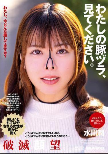 Mosaic NHD-009 Please Take A Look At My Pig Wig. Mizukawa Jun