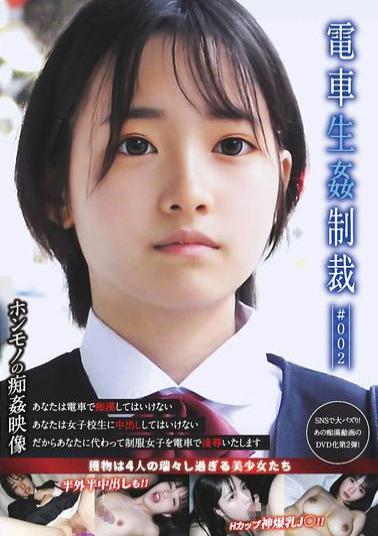 YDNS-002 Train Sex Punishment #002