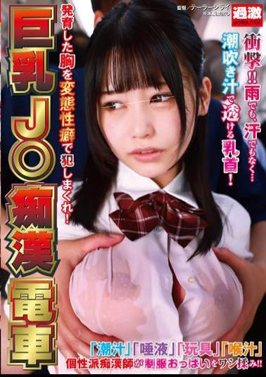 Mosaic NHDTB-851 Big-breasted J Molester Train - Rape Her Grown Breasts With Perverted Fetishes!